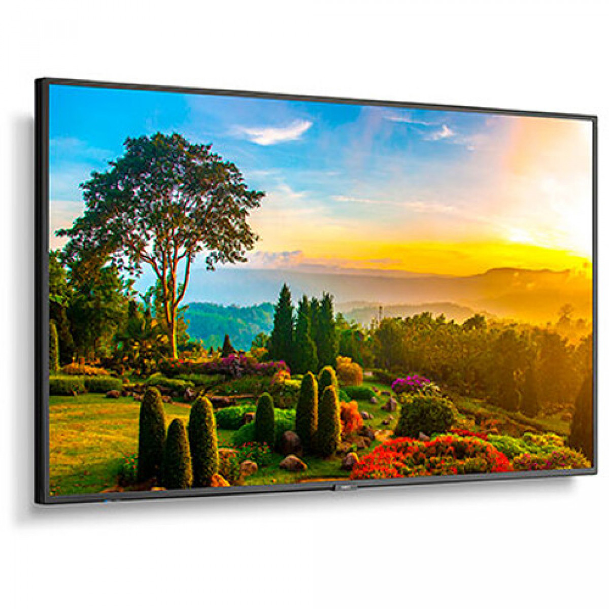 NEC 55'' FHD C Series Commercial 
