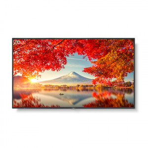 NEC 55'' UHD Series Commercial Display