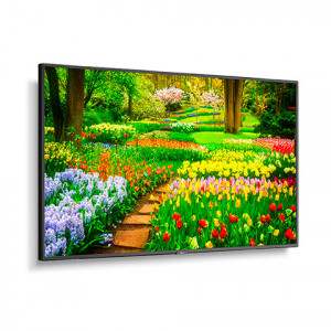 NEC 49'' M Series 4K UHD Commercial Display